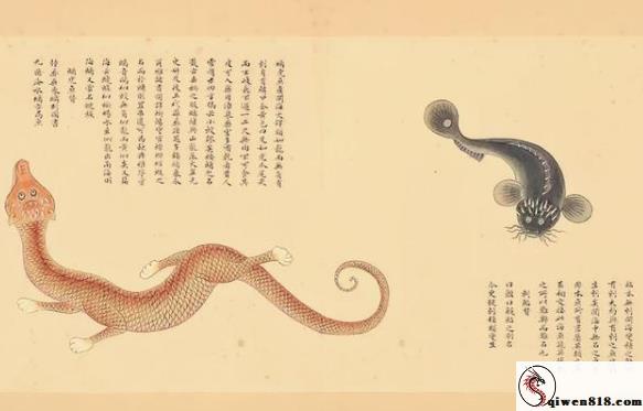 当全职太太不再“安分”：经纪人与生活的另一种可能