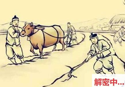 周杰伦《太阳之子》终极预告背后的温暖生活小贴士