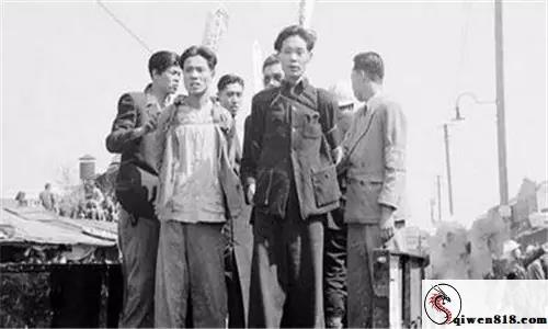 张若昀评论区热搜揭露公众情绪裂痕