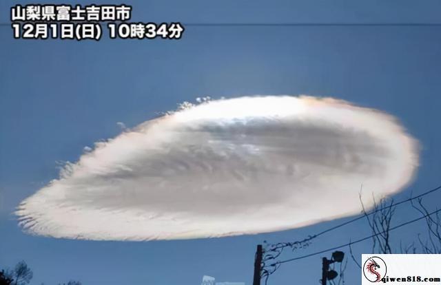 杨采钰的焦虑日常！如何通过小改变找回平静