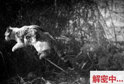 热点:半夜通知放假的意外礼物？让生活更温暖的方式