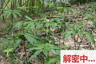 生活:从零开始玩转这个神秘的游戏，你会发现惊喜无数